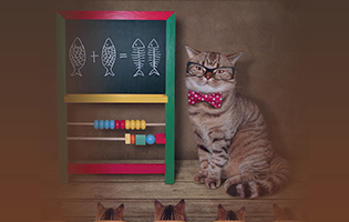 Новый курс для менеджеров в учебном центре LANMASTER